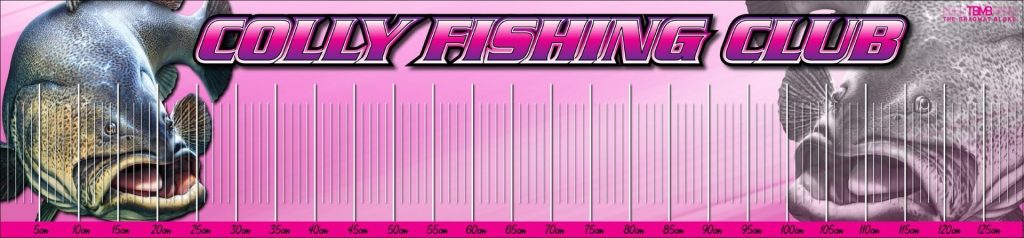 Colly Cod Classic brag mat with centimetre scale and event logo.